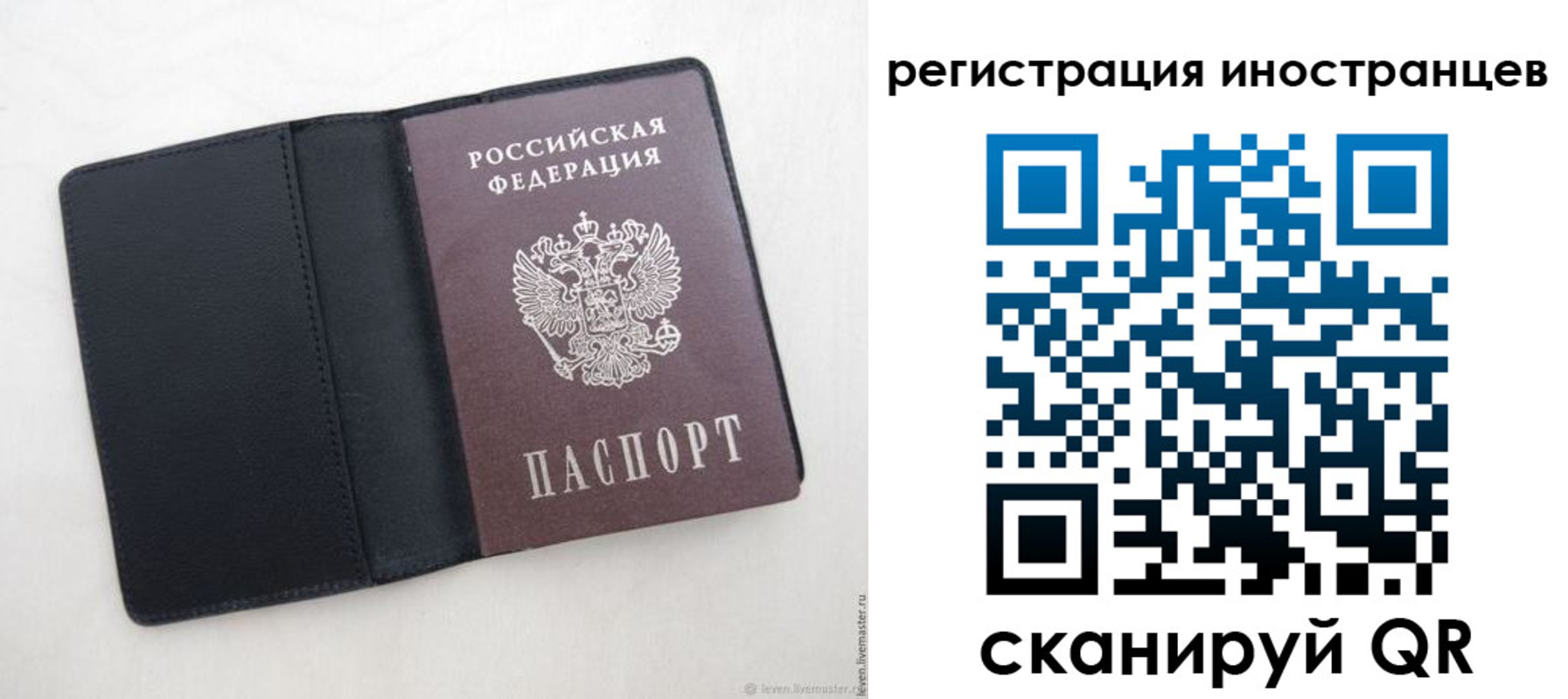 прописка ребенка в Ворсме
